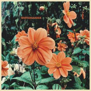 Wintergarden lyrics | Boomplay Music