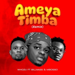Ameyatimba (Remix) ft. Billnass & Mbosso lyrics | Boomplay Music