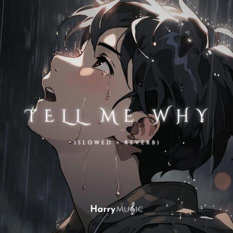 Tell Me Why (Slowed + Reverb) | Boomplay Music