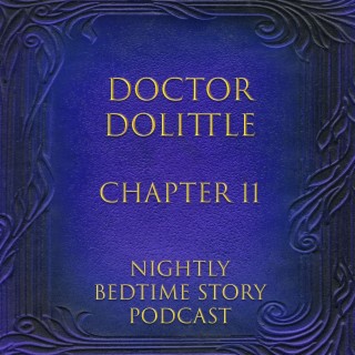 Doctor Dolittle by Hugh Lofting - Chapter 11