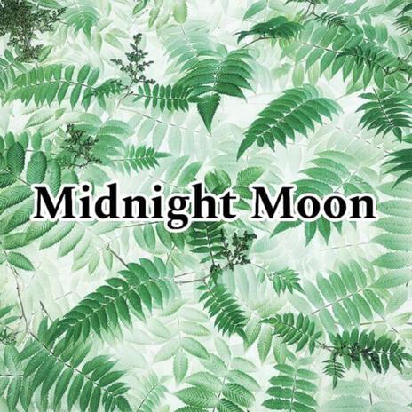 Midnight Moon | Boomplay Music