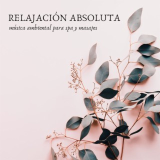 Relajación Absoluta: Música Ambiental para Spa y Masajes