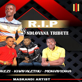 Indlovana Tribute (Special Version)