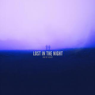 Lost in the night