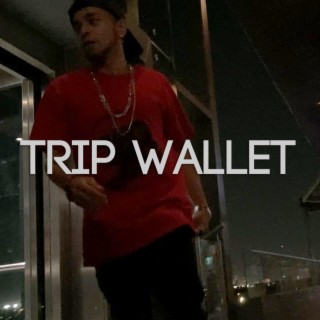 TRIP WALLET