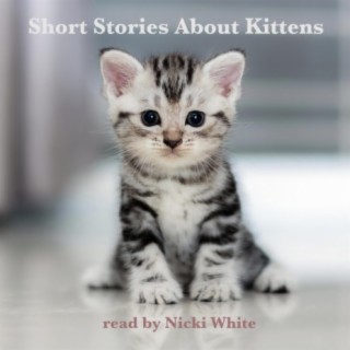 Short Stories About Kittens
