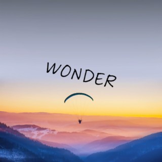 Wonder