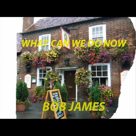 What Can We Do Now (Save The Great British Pub) | Boomplay Music