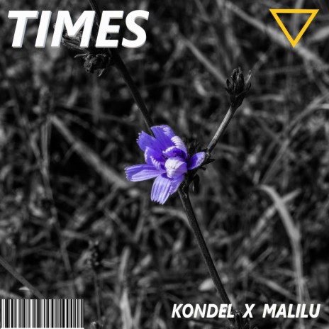 Times ft. Malilu