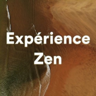 Expérience zen