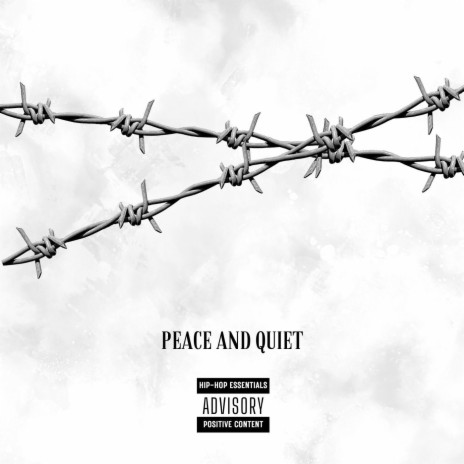 PEACE AND QUIET | Boomplay Music