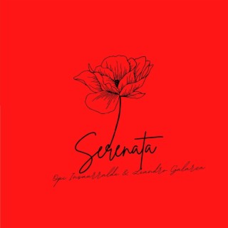 Serenata ft. Opi Insaurralde lyrics | Boomplay Music