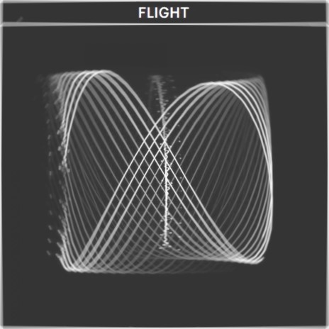 FLIGHT | Boomplay Music