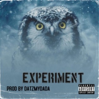 EXPERIMENT (Radio Edit)