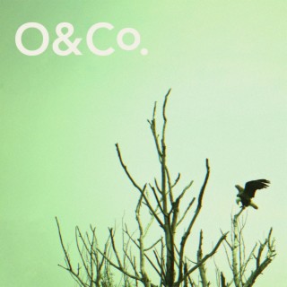 O&Co.