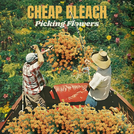 Picking Flowers | Boomplay Music