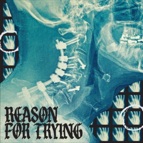 Reason For Trying | Boomplay Music