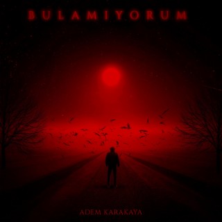 BULAMIYORUM