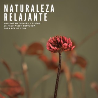 Naturaleza Relajante: Sonidos Naturales y Pistas de Meditación Profunda para Día de Yoga