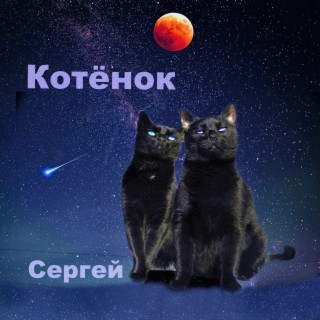 Котёнок