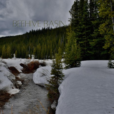 Beehive Basin | Boomplay Music