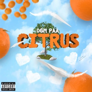 Citrus lyrics | Boomplay Music