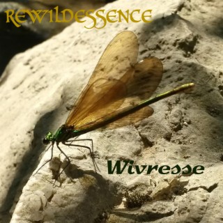 Rewildessence