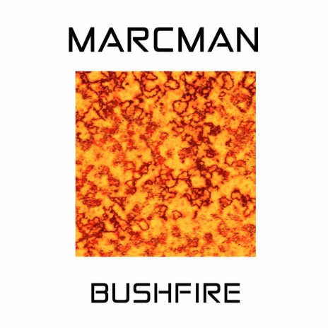 Bushfire | Boomplay Music