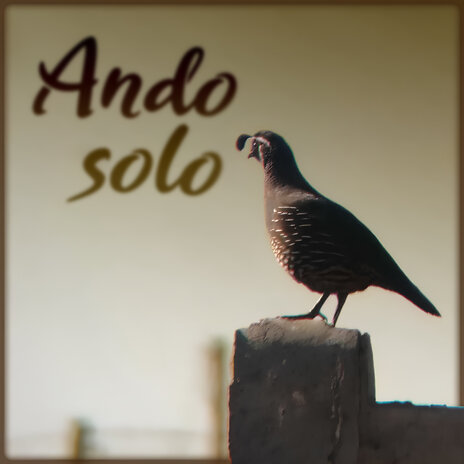 Ando Solo | Boomplay Music