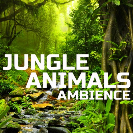 Jungle Sounds Ambience ft. Animal Planet Soundscapes, National Geographic  Sounds, Animals Life Sounds, National Geographic FX & FX Effects - Jungle  Animals Ambience MP3 download | Jungle Sounds Ambience ft. Animal Planet