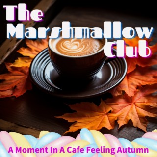 A Moment in a Cafe Feeling Autumn