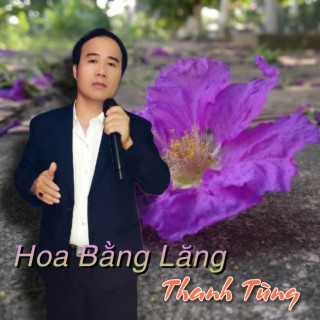 Hoa Bằng Lăng lyrics | Boomplay Music