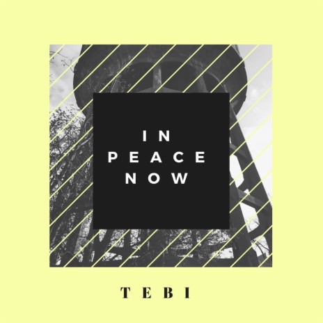 In Peace Now ft. Rob Meulman