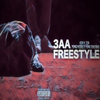 3AA FREESTYLE