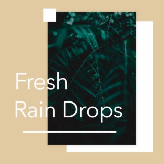 Fresh Rain Drops