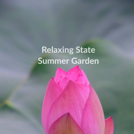 Summer Garden | Boomplay Music