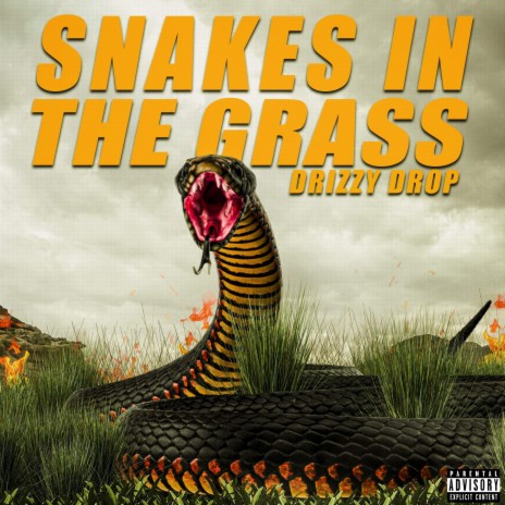 Snakes in the Grass