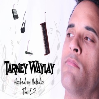 Tarney Waylay