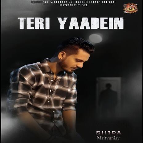 Teri Yaadein | Boomplay Music