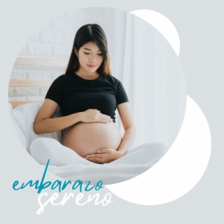 Embarazo Sereno: Melodías Felices para un Embarazo Pleno y Alegre