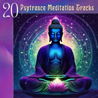 20 Psytrance Meditation Tracks: Ohm Force for Spirit Psychedelic Trip