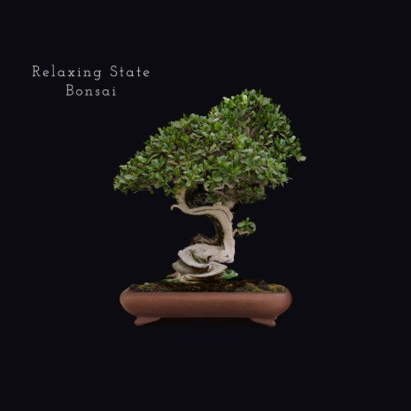 Bonsai | Boomplay Music