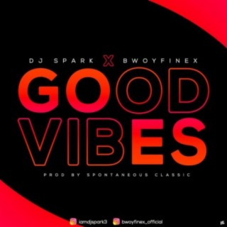 GOOD VIBES ft. DJ Spark lyrics | Boomplay Music
