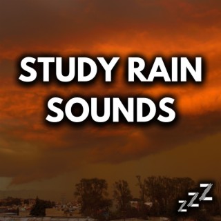 Study Rain Sounds (Loop As Long As Needed, Just Hit Repeat or Repeat All)