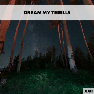Dream My Thrills XXII