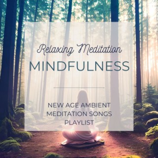 Relaxing Mindfulness Meditation: New Age Ambient Meditation Songs Playlist