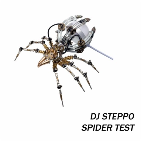 Spider Test | Boomplay Music