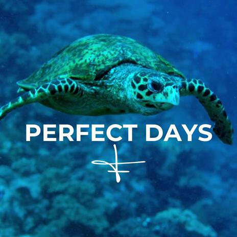 PERFECT DAYS