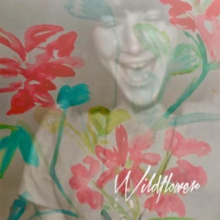 WILDFLOWER