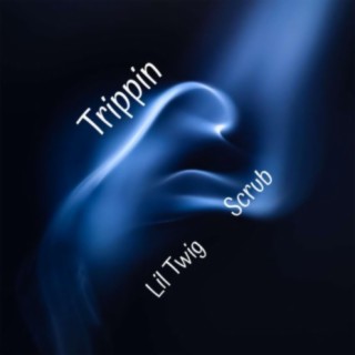Trippin ft. Scrub lyrics | Boomplay Music